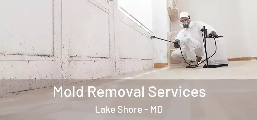 Mold Removal Services Lake Shore - MD
