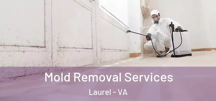  Mold Removal Services Laurel - VA