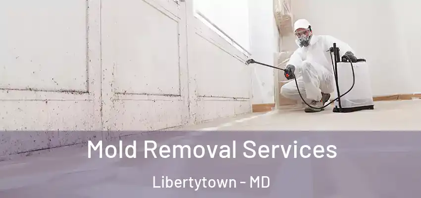 Mold Removal Services Libertytown - MD