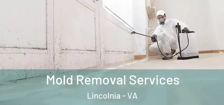  Mold Removal Services Lincolnia - VA