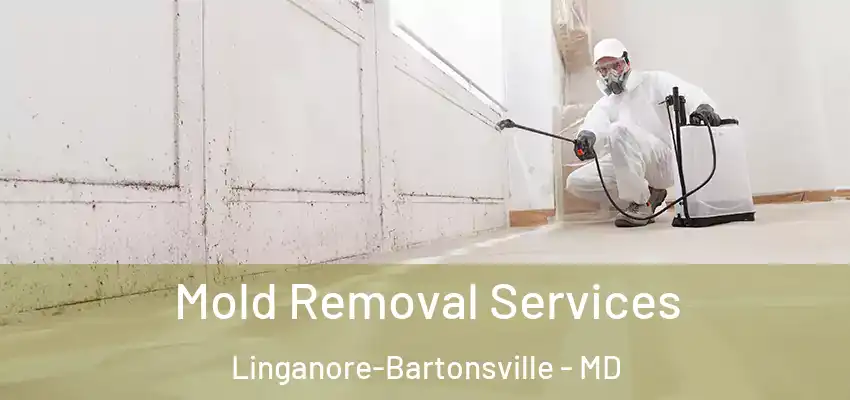  Mold Removal Services Linganore-Bartonsville - MD