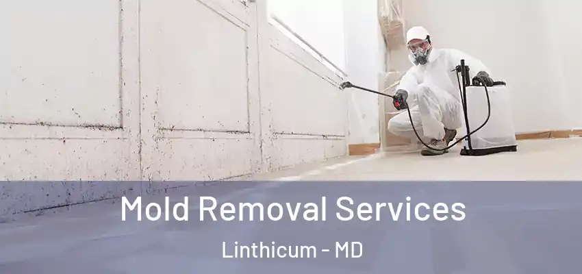Mold Removal Services Linthicum - MD