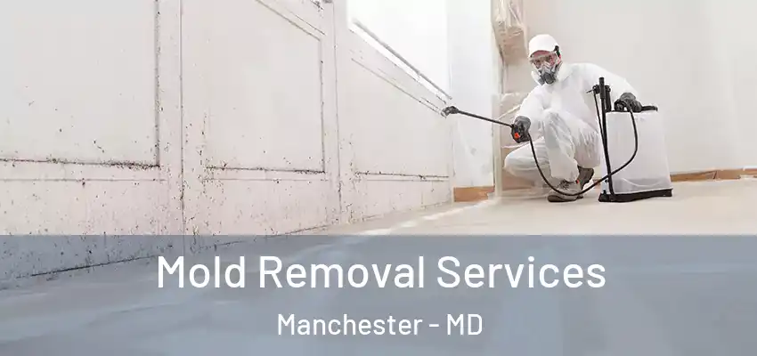 Mold Removal Services Manchester - MD