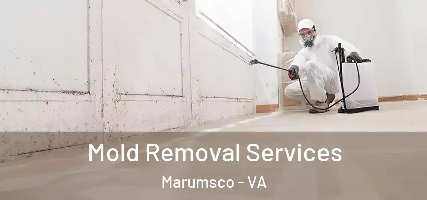 Mold Removal Services Marumsco - VA