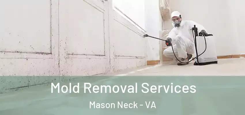 Mold Removal Services Mason Neck - VA