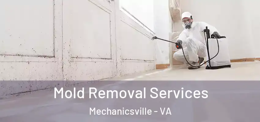 Mold Removal Services Mechanicsville - VA