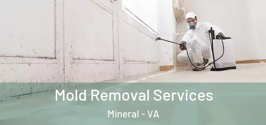  Mold Removal Services Mineral - VA