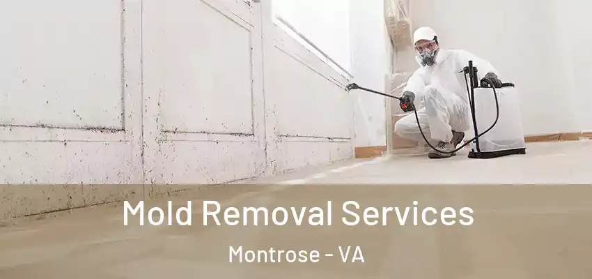 Mold Removal Services Montrose - VA