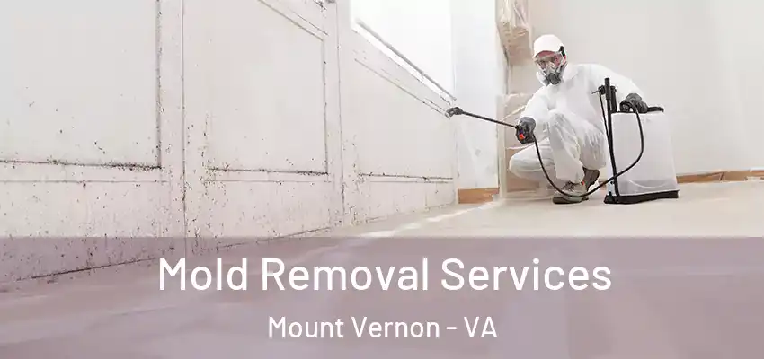 Mold Removal Services Mount Vernon - VA