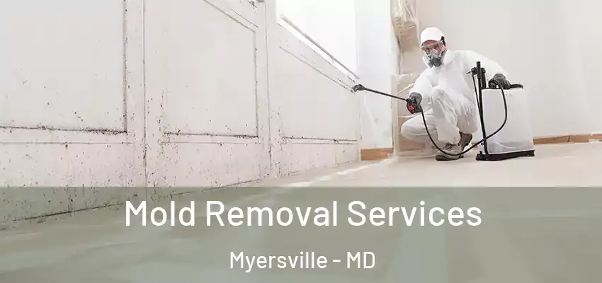 Mold Removal Services Myersville - MD