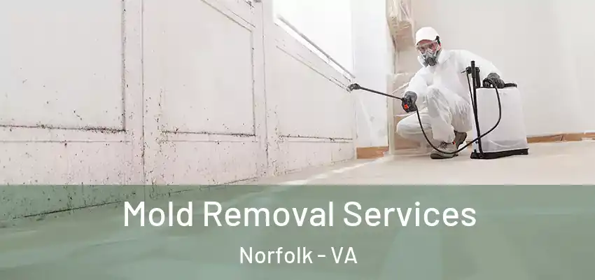 Mold Removal Services Norfolk - VA