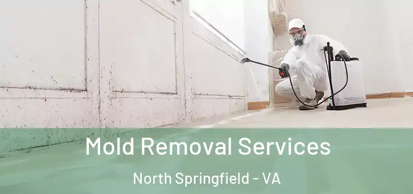 Mold Removal Services North Springfield - VA