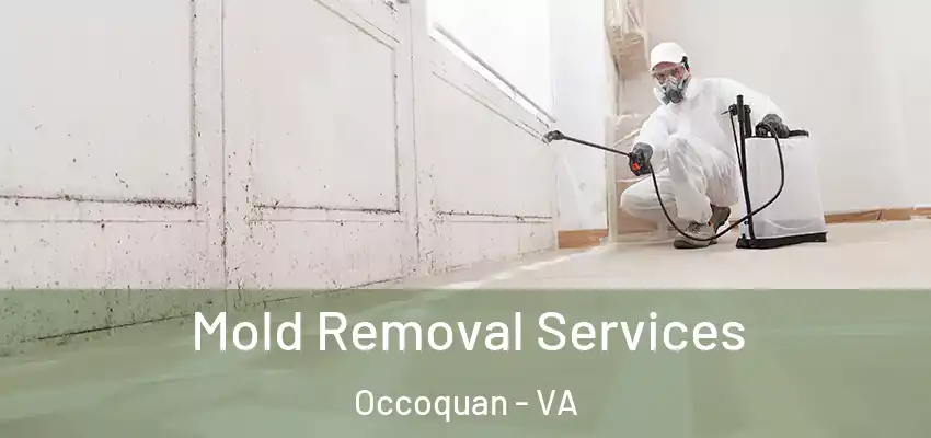 Mold Removal Services Occoquan - VA