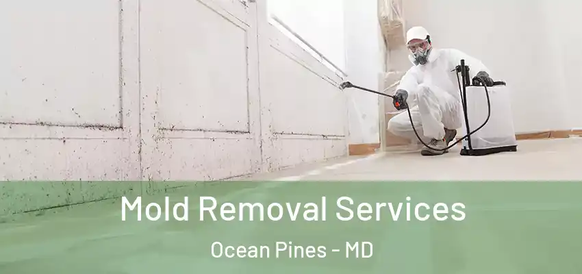 Mold Removal Services Ocean Pines - MD