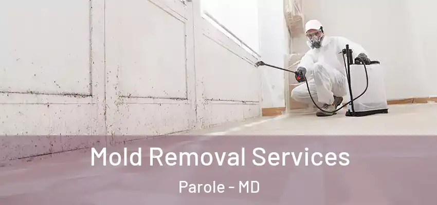 Mold Removal Services Parole - MD