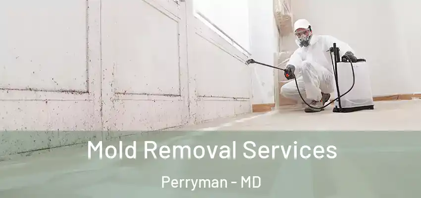 Mold Removal Services Perryman - MD