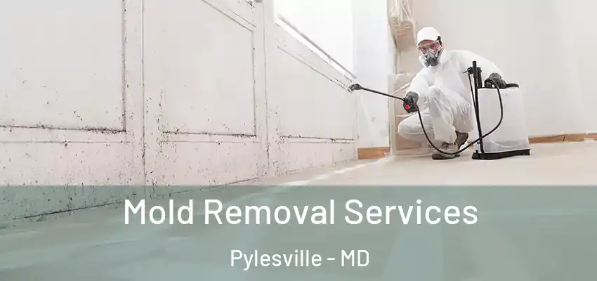 Mold Removal Services Pylesville - MD