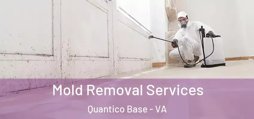  Mold Removal Services Quantico Base - VA