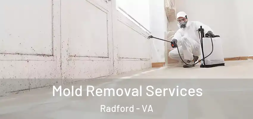 Mold Removal Services Radford - VA