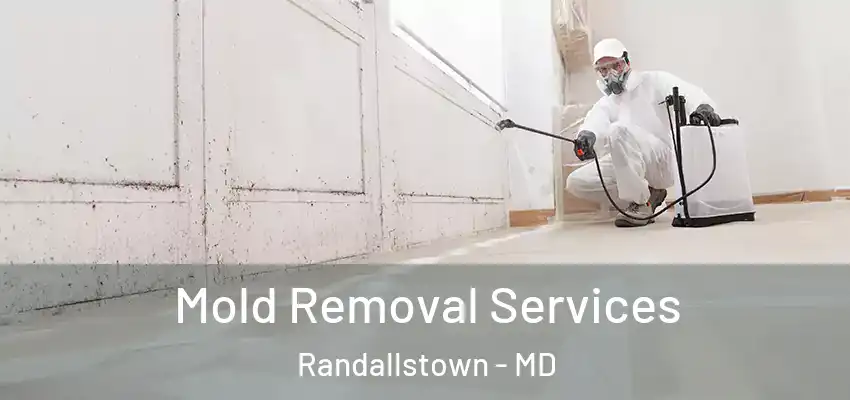 Mold Removal Services Randallstown - MD