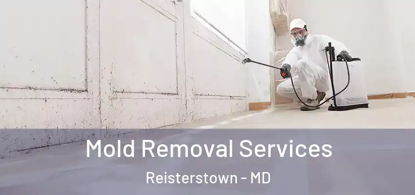 Mold Removal Services Reisterstown - MD