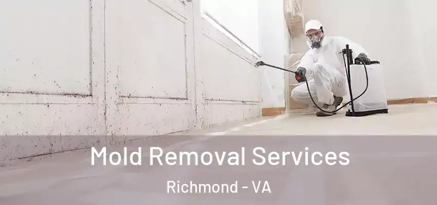 Mold Removal Services Richmond - VA