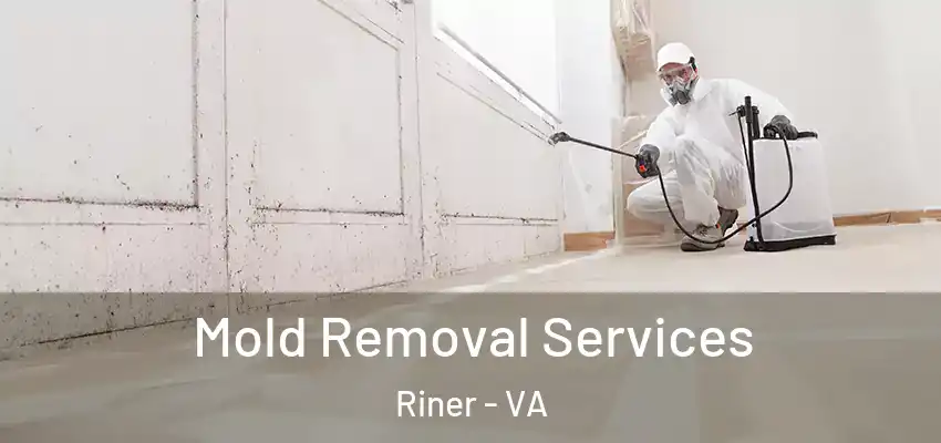 Mold Removal Services Riner - VA