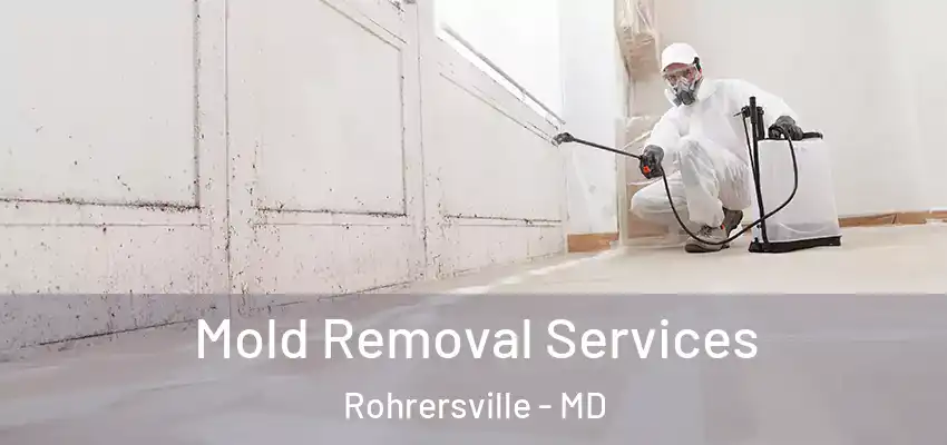 Mold Removal Services Rohrersville - MD