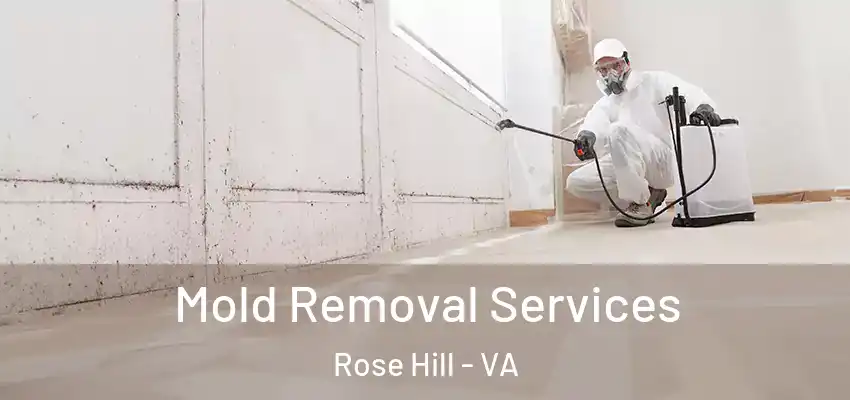  Mold Removal Services Rose Hill - VA