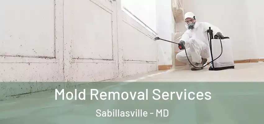 Mold Removal Services Sabillasville - MD