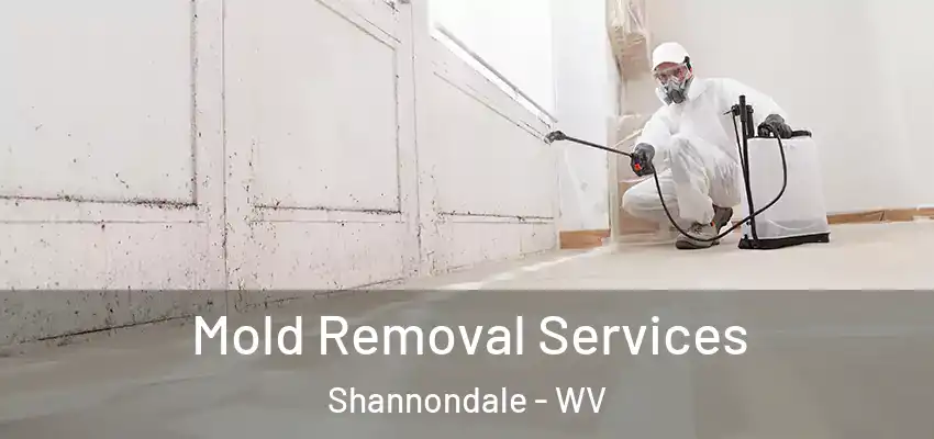 Mold Removal Services Shannondale - WV