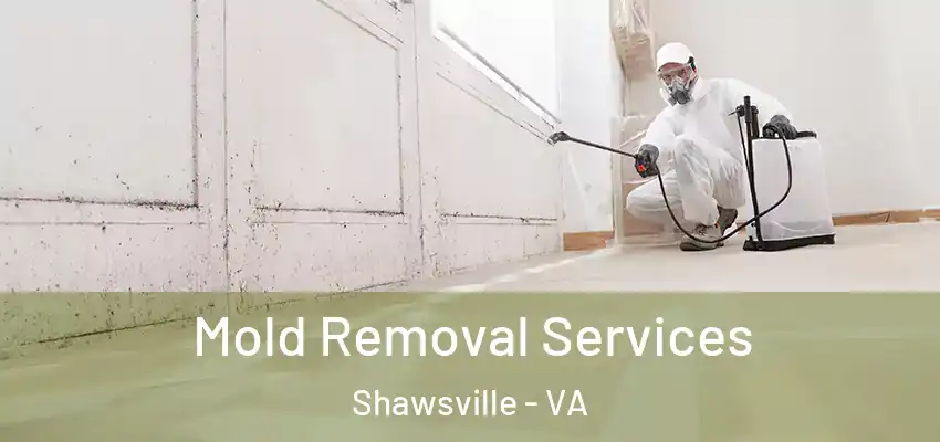 Mold Removal Services Shawsville - VA