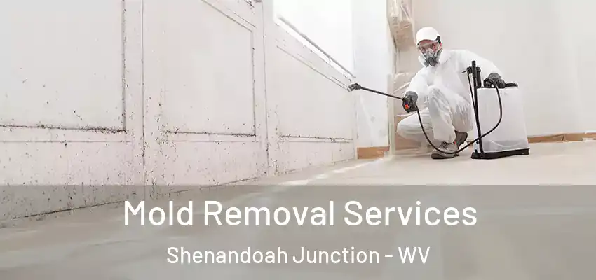 Mold Removal Services Shenandoah Junction - WV