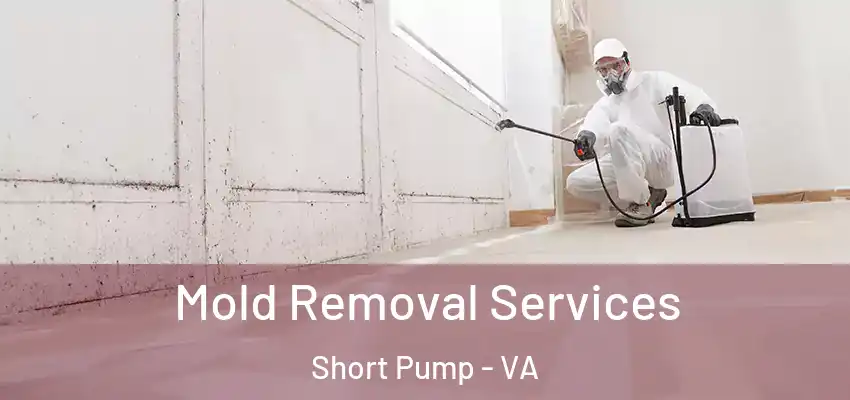 Mold Removal Services Short Pump - VA