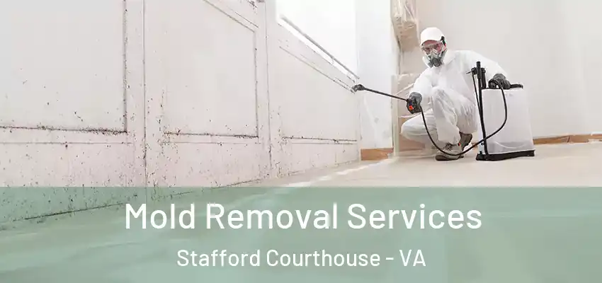 Mold Removal Services Stafford Courthouse - VA