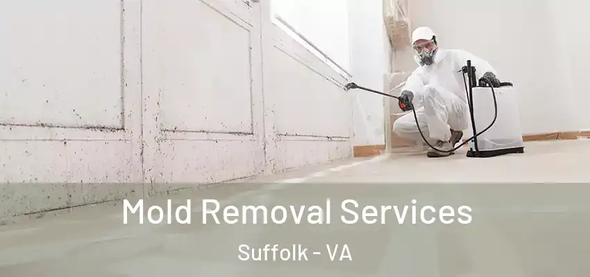 Mold Removal Services Suffolk - VA