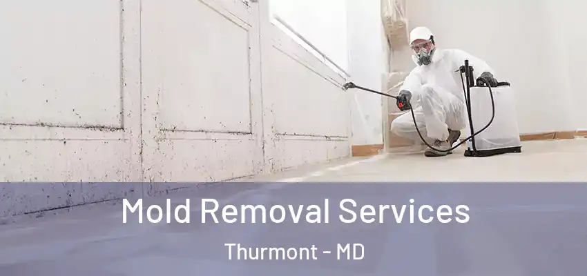 Mold Removal Services Thurmont - MD