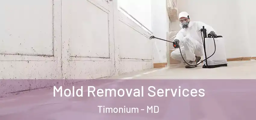 Mold Removal Services Timonium - MD