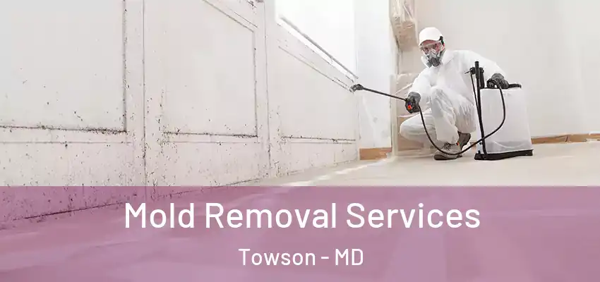 Mold Removal Services Towson - MD
