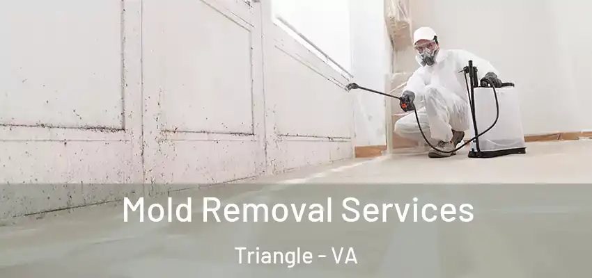  Mold Removal Services Triangle - VA