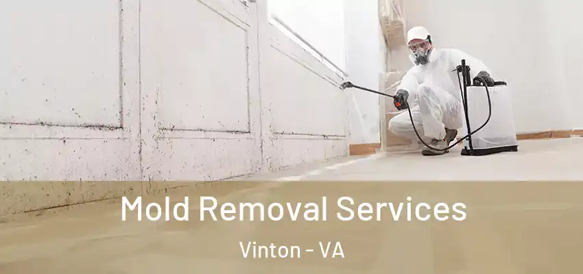 Mold Removal Services Vinton - VA