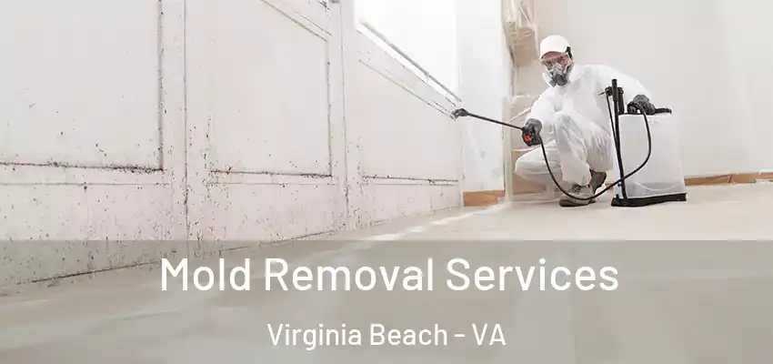 Mold Removal Services Virginia Beach - VA