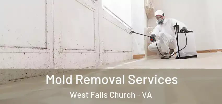  Mold Removal Services West Falls Church - VA