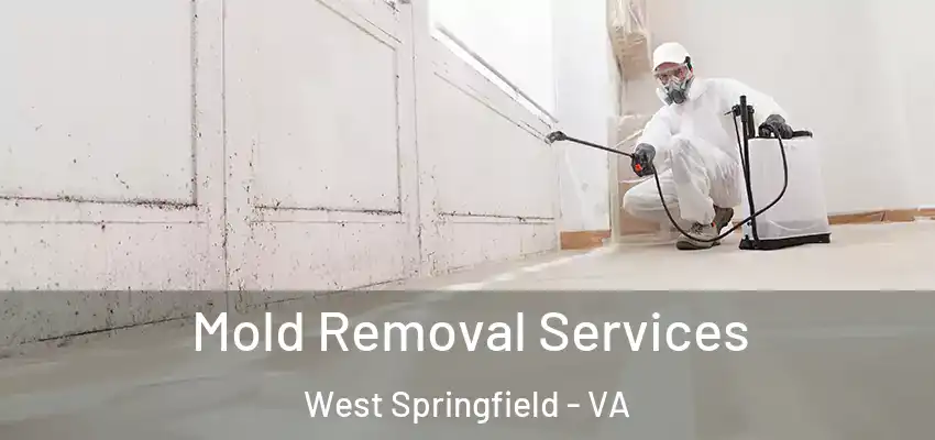 Mold Removal Services West Springfield - VA