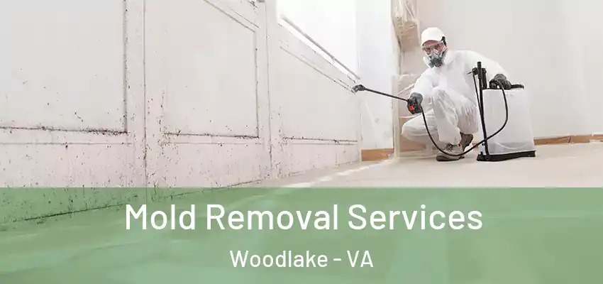 Mold Removal Services Woodlake - VA