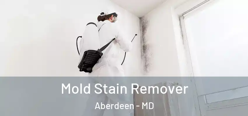Mold Stain Remover Aberdeen - MD