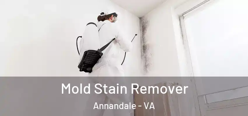 Mold Stain Remover Annandale - VA