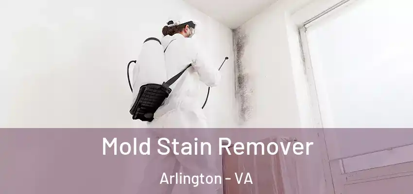 Mold Stain Remover Arlington - VA