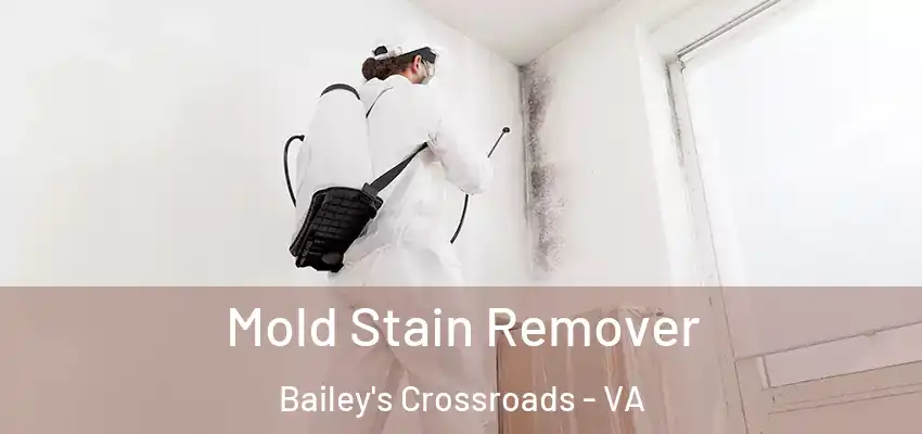Mold Stain Remover Bailey's Crossroads - VA