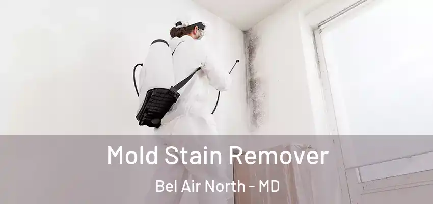 Mold Stain Remover Bel Air North - MD